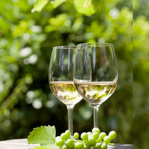 Σεπτέμβρης: Ο μήνας της “νέας” αρχής … στον χρόνο, στην πίστη, στο κρασί