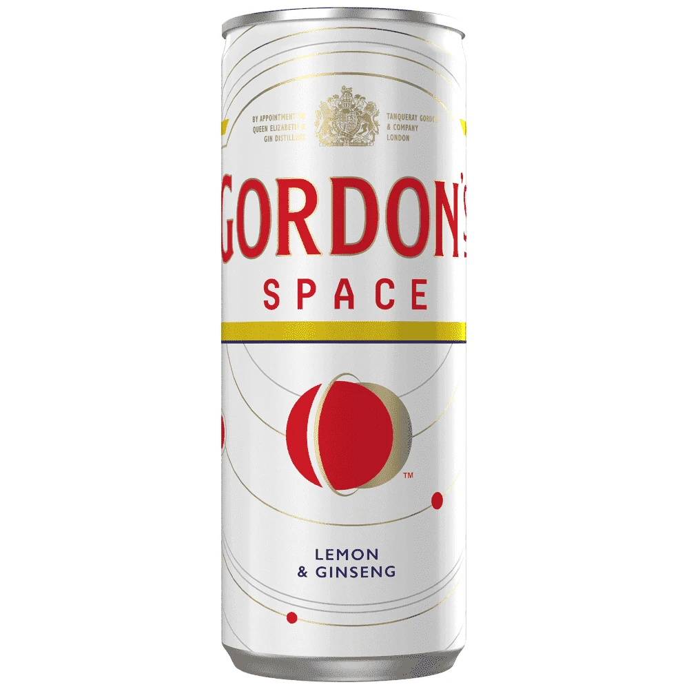 GORDONS SPACE 250ml CAN